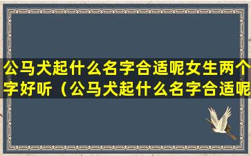 公马犬起什么名字合适呢女生两个字好听（公马犬起什么名字合适呢女生两个字好听一点）