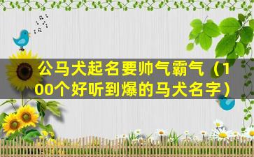 公马犬起名要帅气霸气（100个好听到爆的马犬名字）