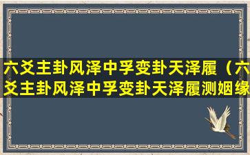 六爻主卦风泽中孚变卦天泽履（六爻主卦风泽中孚变卦天泽履测姻缘）