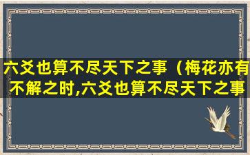 六爻也算不尽天下之事（梅花亦有不解之时,六爻也算不尽天下之事）