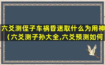 六爻测侄子车祸昏迷取什么为用神（六爻测子孙大全,六爻预测如何测子孙后福）