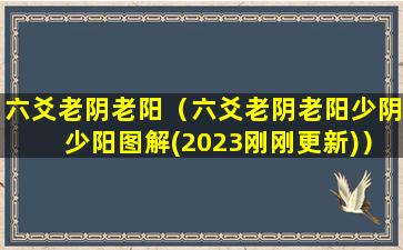 六爻老阴老阳（六爻老阴老阳少阴少阳图解(2023刚刚更新)）