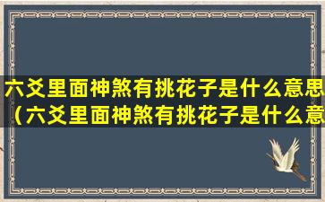 六爻里面神煞有挑花子是什么意思（六爻里面神煞有挑花子是什么意思呀）