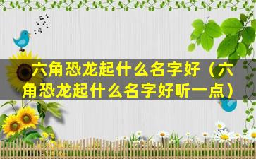 六角恐龙起什么名字好（六角恐龙起什么名字好听一点）