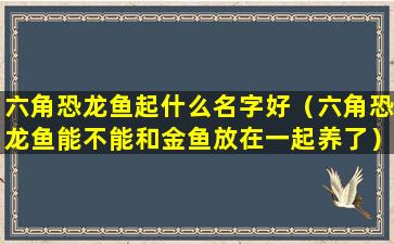 六角恐龙鱼起什么名字好（六角恐龙鱼能不能和金鱼放在一起养了）