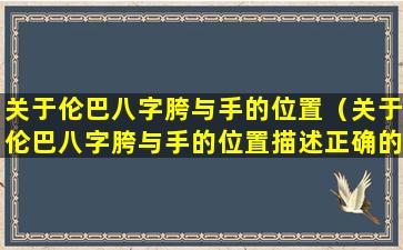 关于伦巴八字胯与手的位置（关于伦巴八字胯与手的位置描述正确的是）