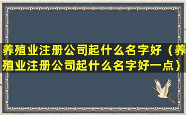 养殖业注册公司起什么名字好（养殖业注册公司起什么名字好一点）