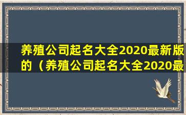 养殖公司起名大全2020最新版的（养殖公司起名大全2020最新版的名字）