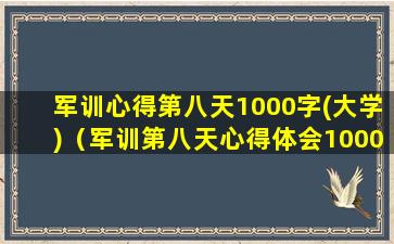 军训心得第八天1000字(大学)（军训第八天心得体会1000字）