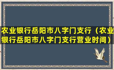 农业银行岳阳市八字门支行（农业银行岳阳市八字门支行营业时间）