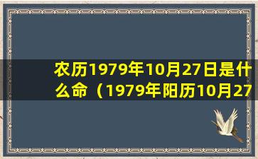 农历1979年10月27日是什么命（1979年阳历10月27号是属于什么星座）