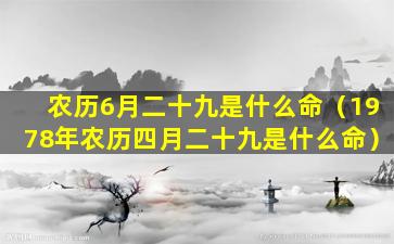 农历6月二十九是什么命（1978年农历四月二十九是什么命）