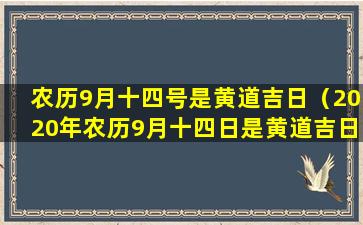 农历9月十四号是黄道吉日（2020年农历9月十四日是黄道吉日吗）