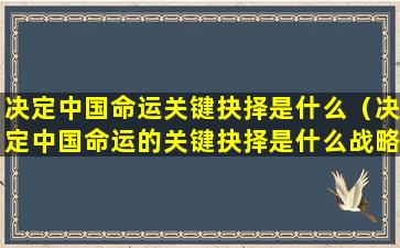 决定中国命运关键抉择是什么（决定中国命运的关键抉择是什么战略）