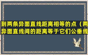 到两条异面直线距离相等的点（两异面直线间的距离等于它们公垂线的长）