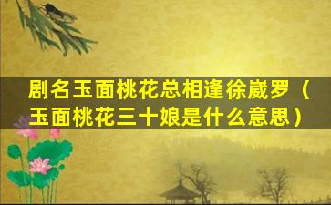 剧名玉面桃花总相逢徐崴罗（玉面桃花三十娘是什么意思）