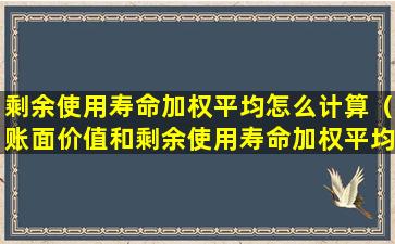 剩余使用寿命加权平均怎么计算（账面价值和剩余使用寿命加权平均计算）