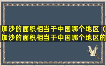 加沙的面积相当于中国哪个地区（加沙的面积相当于中国哪个地区的面积）