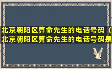 北京朝阳区算命先生的电话号码（北京朝阳区算命先生的电话号码是多少）