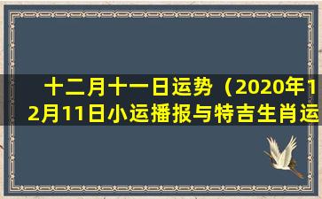 十二月十一日运势（2020年12月11日小运播报与特吉生肖运势）