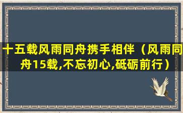 十五载风雨同舟携手相伴（风雨同舟15载,不忘初心,砥砺前行）