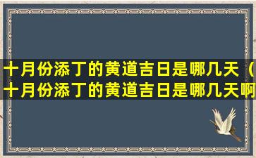 十月份添丁的黄道吉日是哪几天（十月份添丁的黄道吉日是哪几天啊）