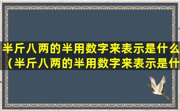 半斤八两的半用数字来表示是什么（半斤八两的半用数字来表示是什么意思）