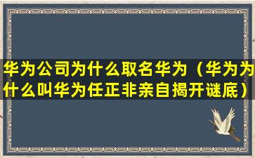 华为公司为什么取名华为（华为为什么叫华为任正非亲自揭开谜底）