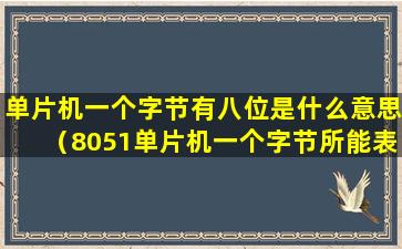 单片机一个字节有八位是什么意思（8051单片机一个字节所能表示的无符号数的范围）