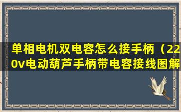 单相电机双电容怎么接手柄（220v电动葫芦手柄带电容接线图解）