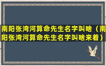 南阳张湾河算命先生名字叫啥（南阳张湾河算命先生名字叫啥来着）