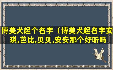 博美犬起个名字（博美犬起名字安琪,芭比,贝贝,安安那个好听吗）