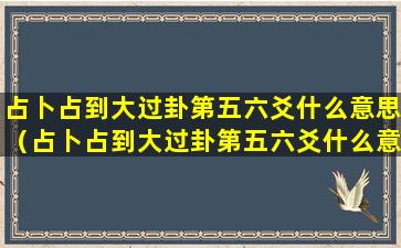 占卜占到大过卦第五六爻什么意思（占卜占到大过卦第五六爻什么意思啊）