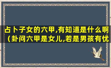 占卜子女的六甲,有知道是什么啊（卦问六甲是女儿,若是男孩有忧愁）