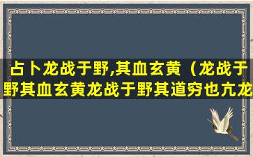 占卜龙战于野,其血玄黄（龙战于野其血玄黄龙战于野其道穷也亢龙有悔盈不可久）