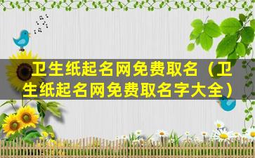 卫生纸起名网免费取名（卫生纸起名网免费取名字大全）