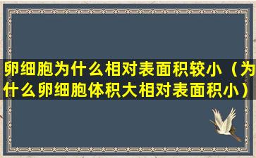 卵细胞为什么相对表面积较小（为什么卵细胞体积大相对表面积小）