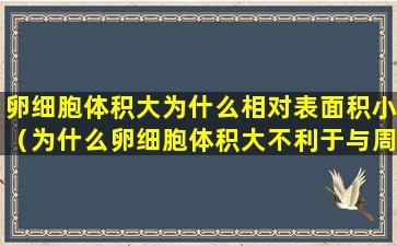 卵细胞体积大为什么相对表面积小（为什么卵细胞体积大不利于与周围环境进行物质交换）