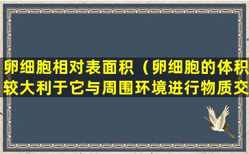 卵细胞相对表面积（卵细胞的体积较大利于它与周围环境进行物质交换）