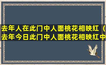 去年人在此门中人面桃花相映红（去年今日此门中人面桃花相映红中的人面是属于什么过程）