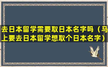 去日本留学需要取日本名字吗（马上要去日本留学想取个日本名字）