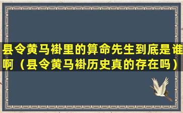 县令黄马褂里的算命先生到底是谁啊（县令黄马褂历史真的存在吗）