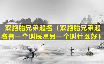 双胞胎兄弟起名（双胞胎兄弟起名有一个叫辰星另一个叫什么好）