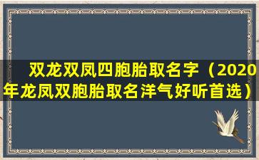 双龙双凤四胞胎取名字（2020年龙凤双胞胎取名洋气好听首选）