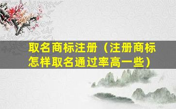 取名商标注册（注册商标怎样取名通过率高一些）