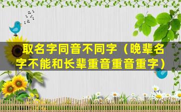 取名字同音不同字（晚辈名字不能和长辈重音重音重字）