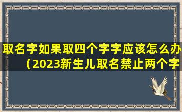 取名字如果取四个字字应该怎么办（2023新生儿取名禁止两个字）