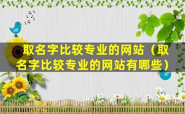 取名字比较专业的网站（取名字比较专业的网站有哪些）