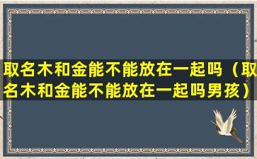 取名木和金能不能放在一起吗（取名木和金能不能放在一起吗男孩）