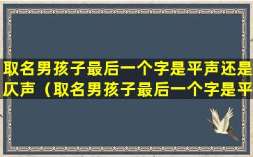 取名男孩子最后一个字是平声还是仄声（取名男孩子最后一个字是平声还是仄声好听）